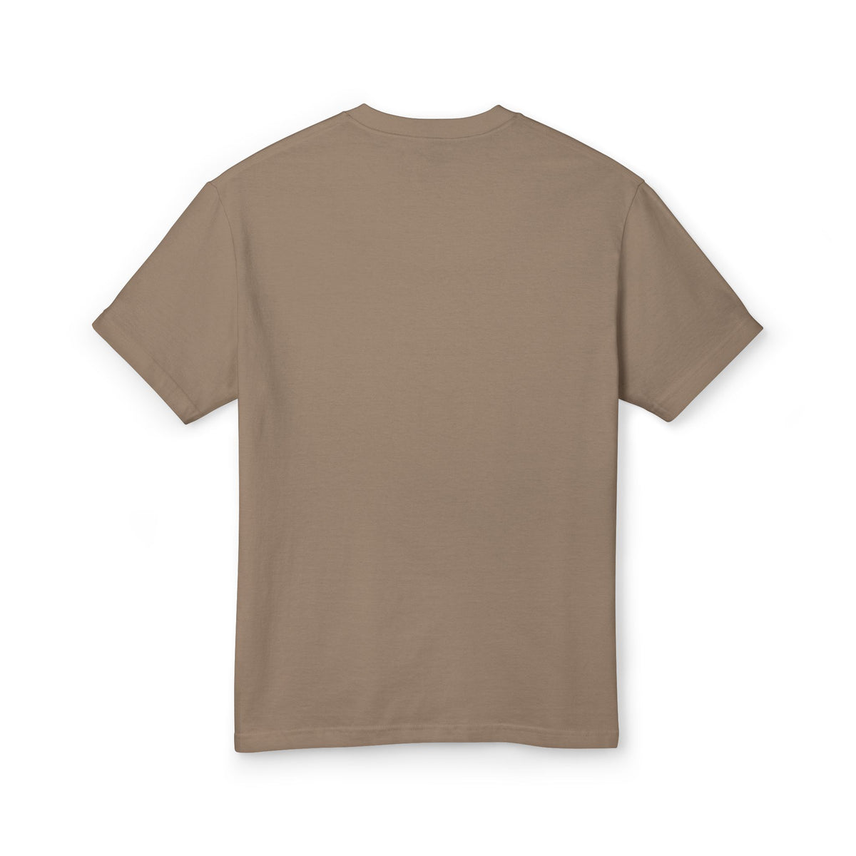 Back view of the Daydream Faded Brown garment-dyed tee